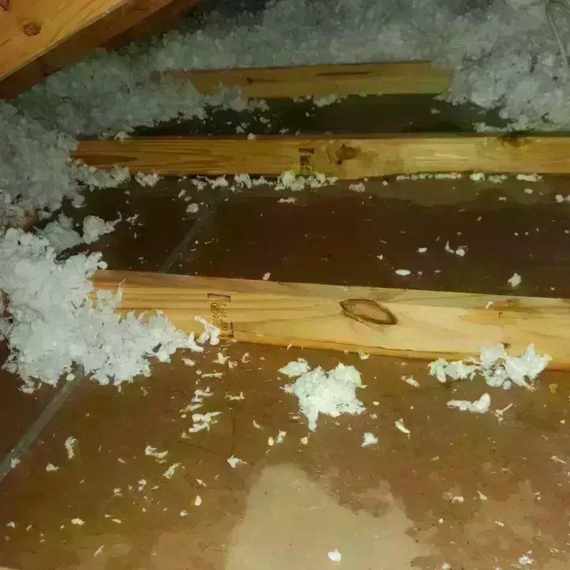 Attic Water Damage in Harrisville, WV